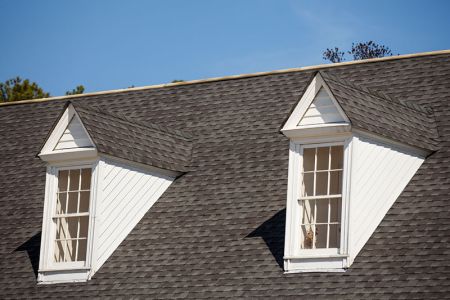 Roof Washing: Necessary or a Waste of Money?