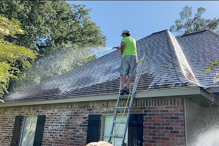 How louisianas humidity causes roof algae and staining