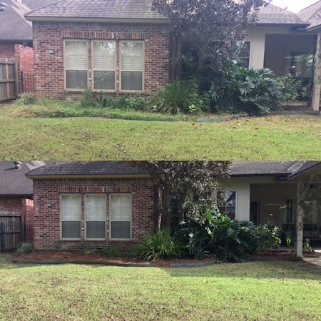 Window cleaning tips for louisiana homes